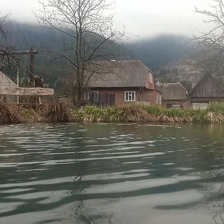 Готель Людмила ซีเนวีร์ ภายนอก รูปภาพ